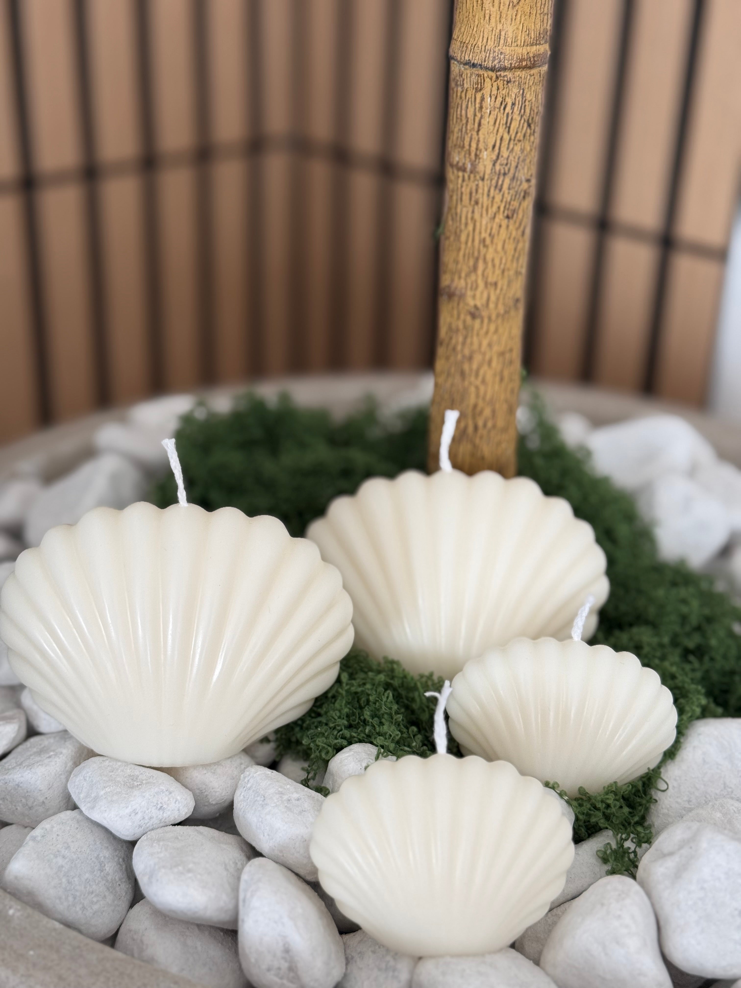 Oceana Pearl Kerze in Weiss